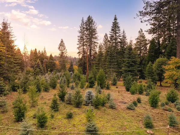 Camino, CA 95709,2740 Mace RD