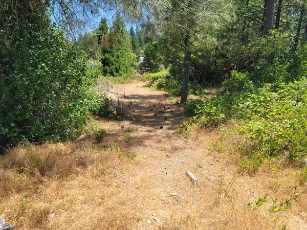 Grass Valley, CA 95945,0 Whispering Pines