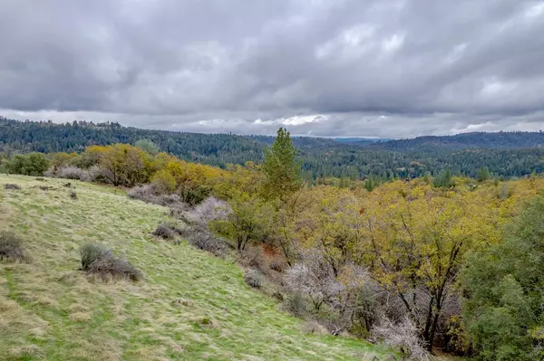 Camino, CA 95709,3841 Braden RD