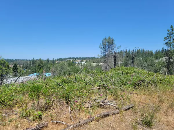 Grass Valley, CA 95945,0 Whispering Pines