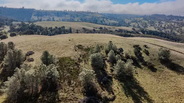 Sutter Creek, CA 95685,11151 Ridge Road