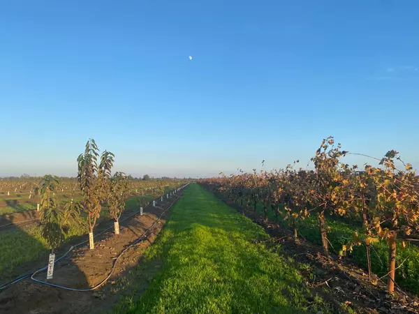 Lodi, CA 95242,2060 W Woodbridge RD