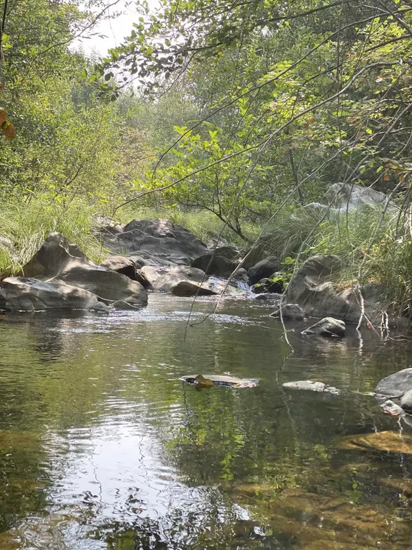 Placerville, CA 95667,3440 Forni RD