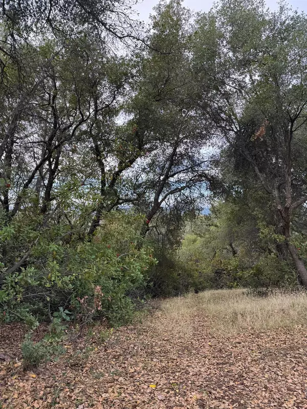 0 Bowman RD, Pine Grove, CA 95665