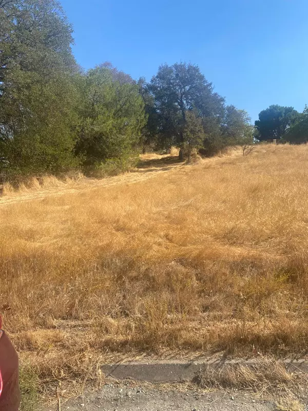 Valley Springs, CA 95252,3241 Hartvickson LN