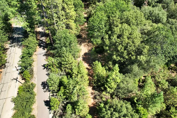 Mokelumne Hill, CA 95245,1233 Cedar Hill RD