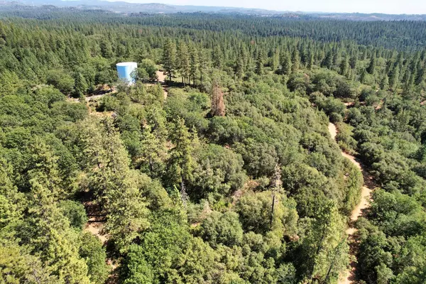 Mokelumne Hill, CA 95245,1233 Cedar Hill RD