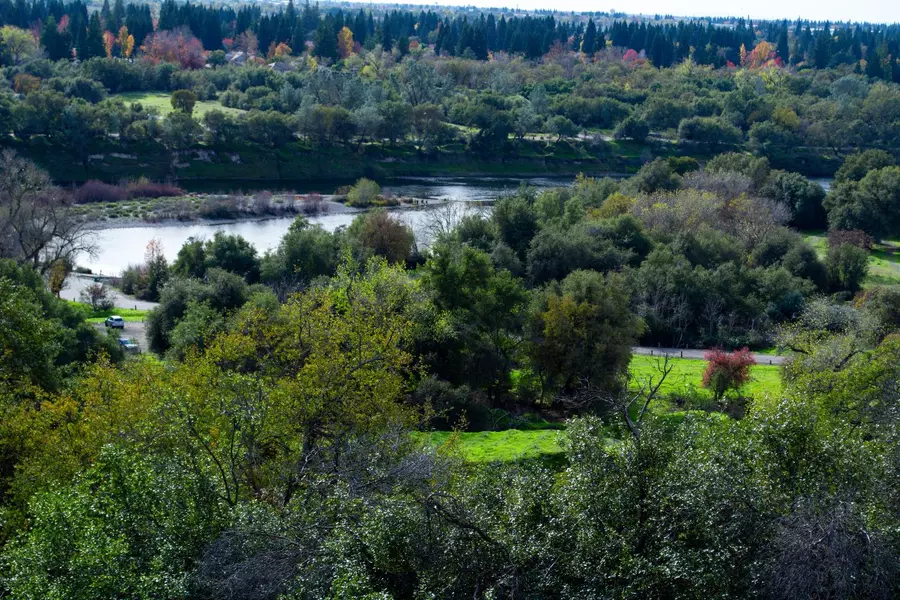 8732 Bluff LN, Fair Oaks, CA 95628