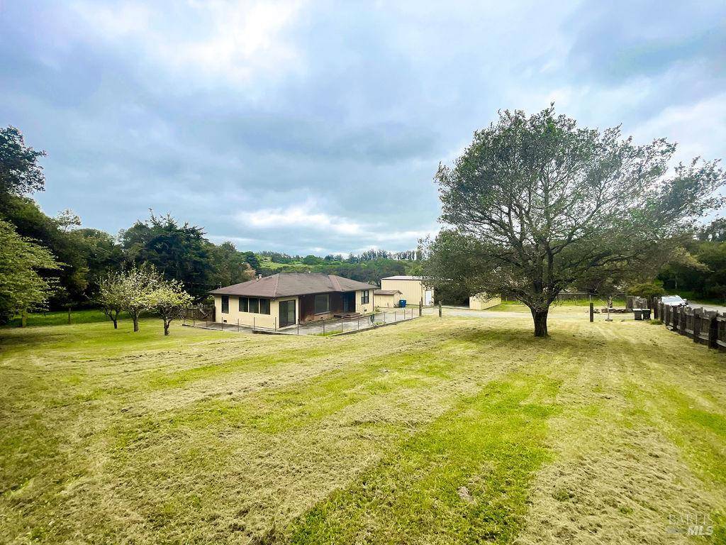 239 Live Oak DR, Petaluma, CA 94952