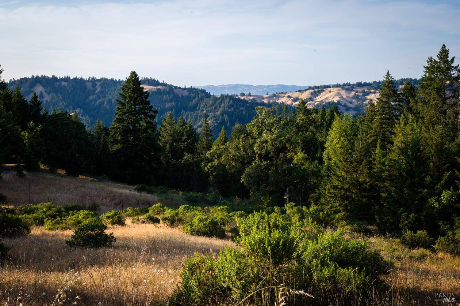 Geyserville, CA 95441,49100 Wickersham RD