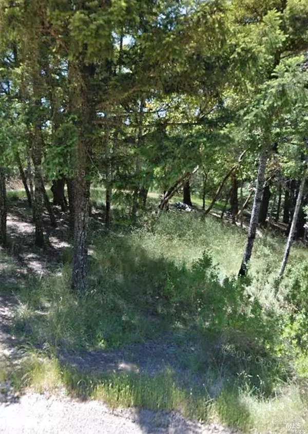 Willits, CA 95490,1599 Daphne DR