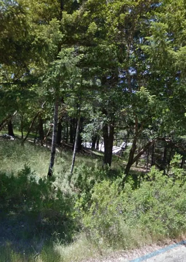 Willits, CA 95490,1599 Daphne DR