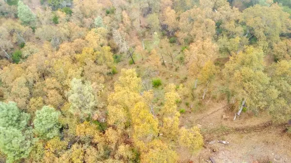 Clearlake, CA 95422,15386 Palm AVE