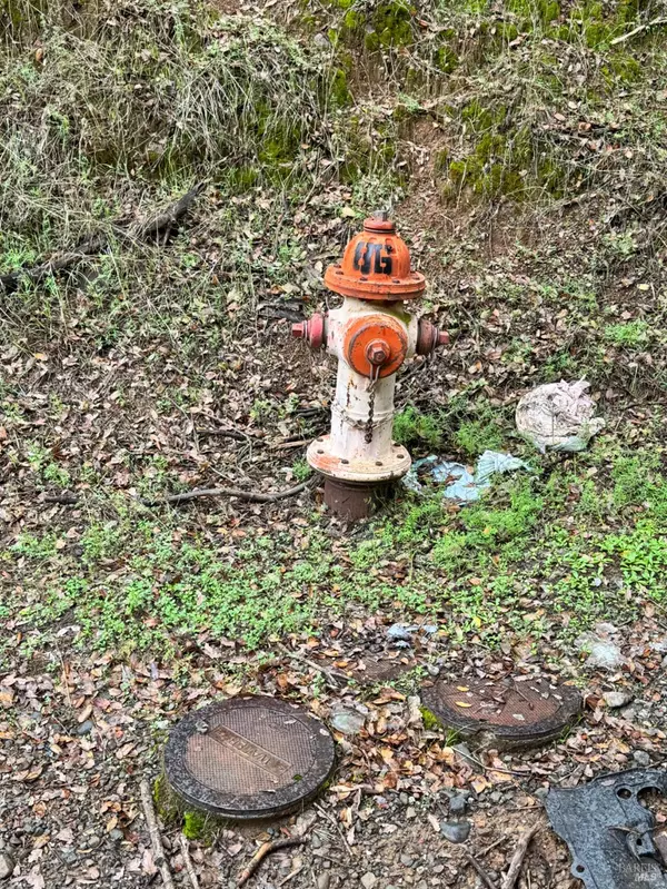 Clearlake Oaks, CA 95423,12336 Mountain View DR