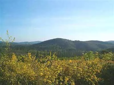 16397 Indiana Ranch, Dobbins, CA 95935