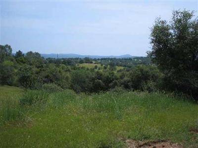 0 Rices Crossing, Oregon House, CA 95962