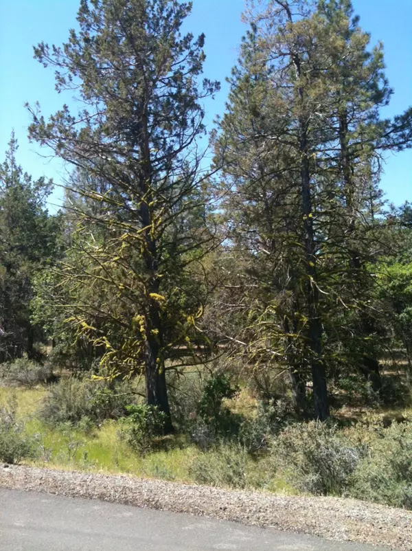 Fall River Mills, CA 96028