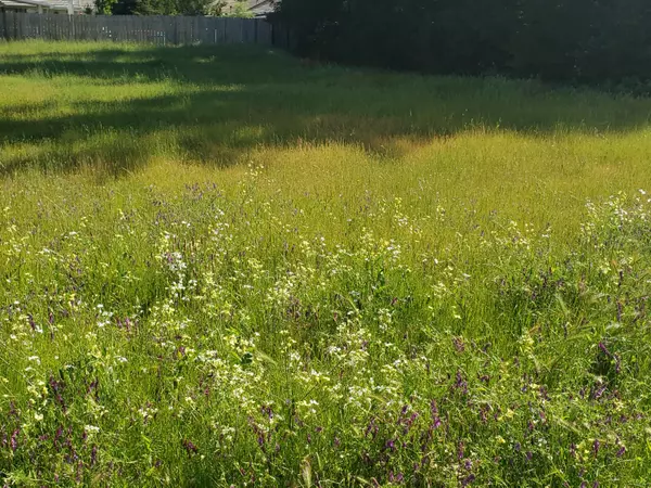 Cottonwood, CA 96022