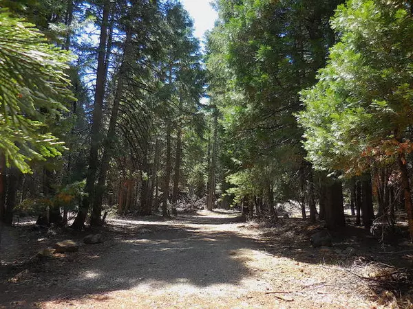 Lot 61 Pony Express, Shingletown, CA 96088