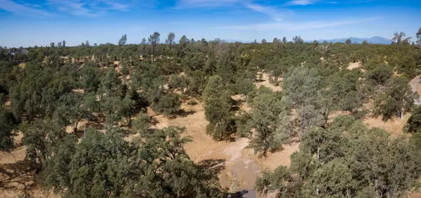 Palo Cedro, CA 96073,Tudor Oaks Drive #2