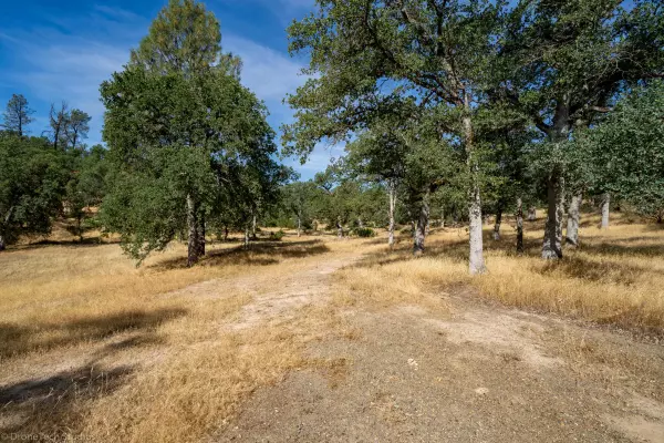 Palo Cedro, CA 96073,Tudor Oaks Drive #2