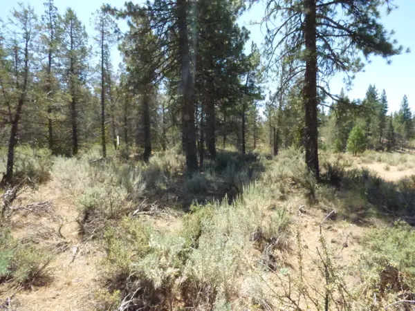 Lookout, CA 96054,Widow Valley Rd