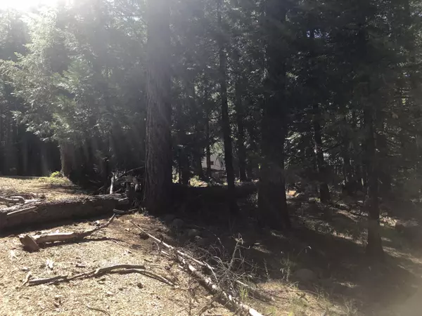 Viola, CA 96088,Viola Dr