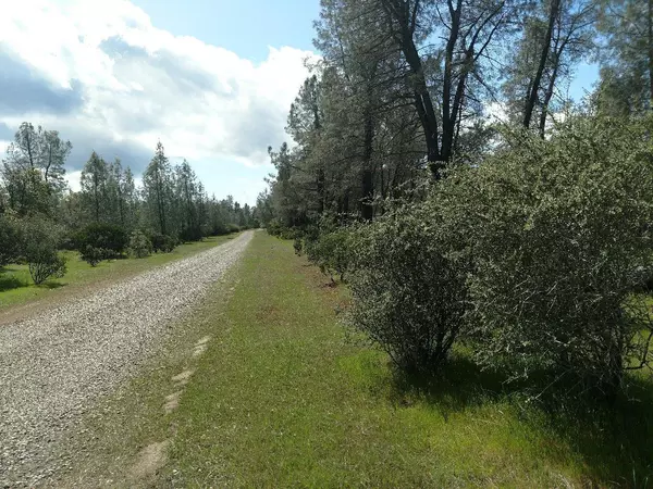 Happy Valley, CA 96007,Heavenly Valley Ln