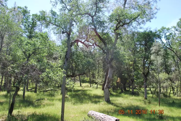 Shingletown, CA 96088,18 acres Wengler Hill Rd