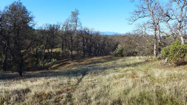 Lot 12 Oak Valley Dr., Cottonwood, CA 96022