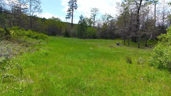 40+-Acres Hunt Rd, Montgomery Creek, CA 96065