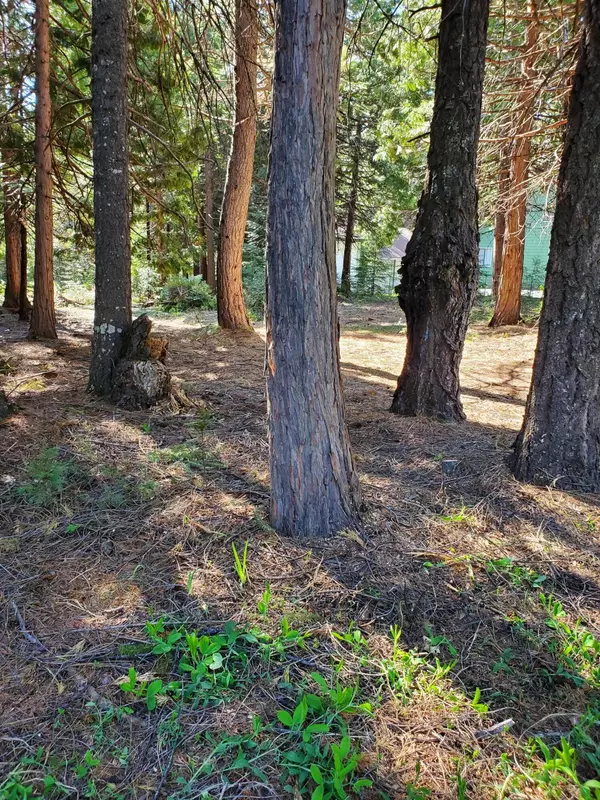 Lot 16 Starlite Pines, Shingletown, CA 96088