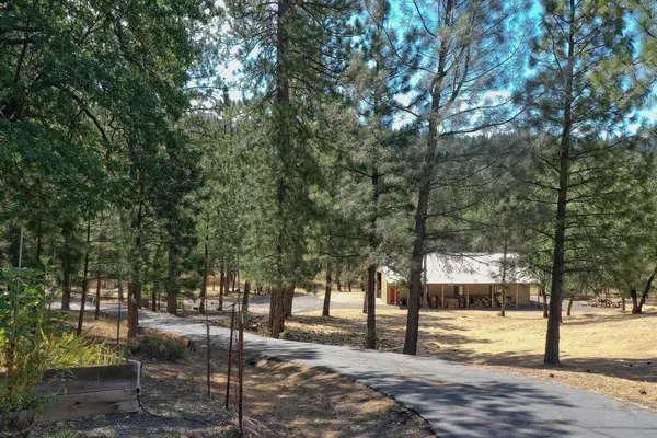 Oak Run, CA 96069,15130 Sherwood Forest RD