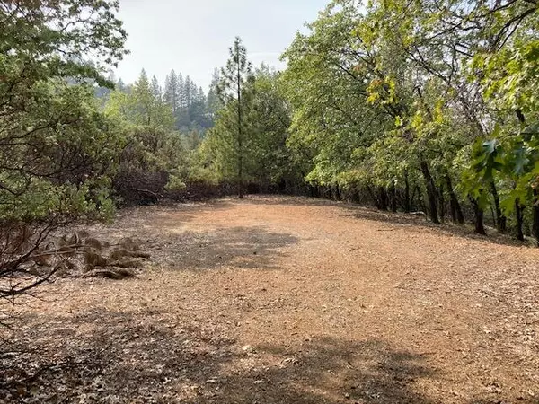 Ground Squirrel Way - Lot 5, Lakehead, CA 96051