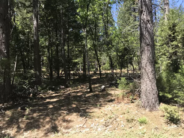 Oak Run, CA 96069,Phillips Rd