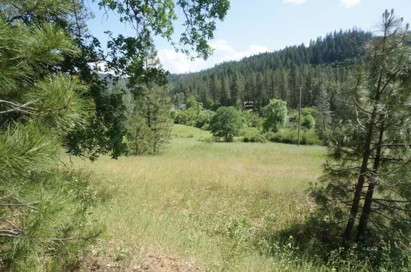 Weaverville, CA 96093,7640 Rush Creek Rd