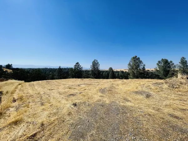 7419 Smith Rd, Corning, CA 96021