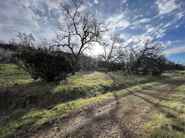 79.67 High Flat Road, Red Bluff, CA 96080