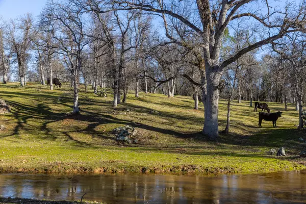 Redding, CA 96001,8499 Simmons RD