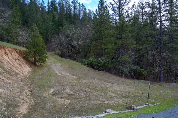 Lewiston, CA 96052,175 Gibson Rd