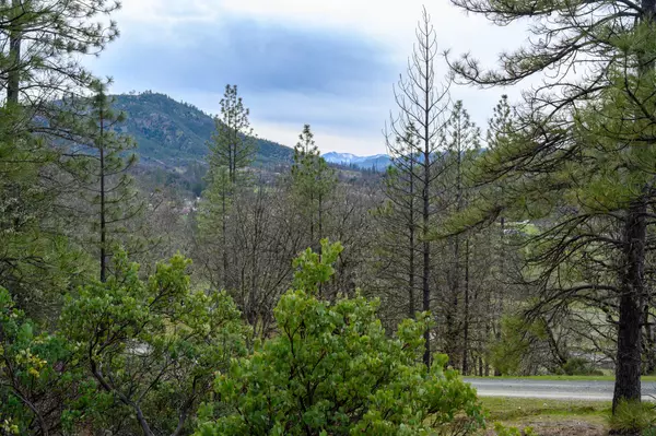 Lewiston, CA 96052,175 Gibson Rd