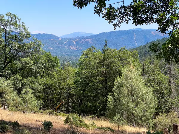 Weaverville, CA 96093,21 Dutch Ln