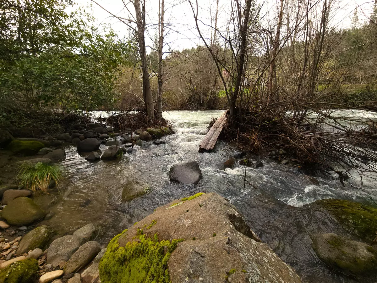 Oak Run, CA 96069,000 Phillips Rd