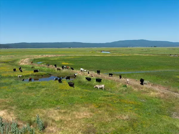 Bieber, CA 96009,0000 Punkin Center Road