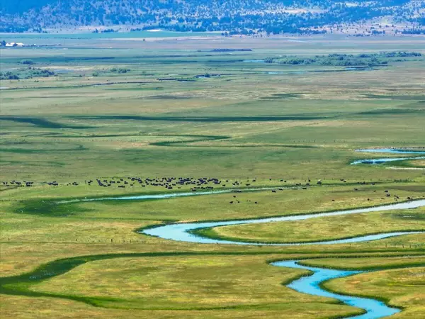 Bieber, CA 96009,0000 Punkin Center Road