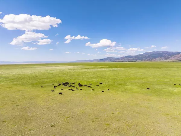 Davis Creek, CA 96108,56087 US-395