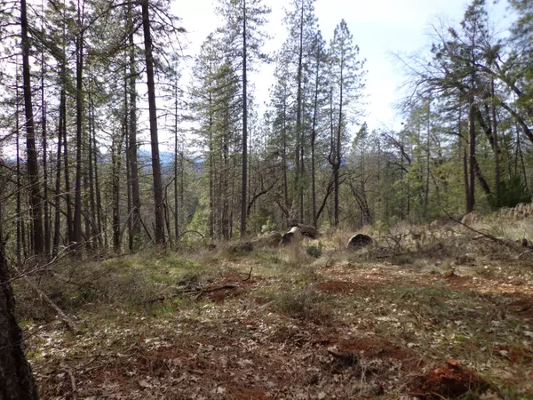 Lakehead, CA 96051,5 Lots, off Statton Rd