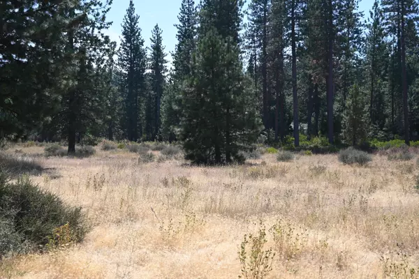 Burney, CA 96013,00000 Long Leaf Ln