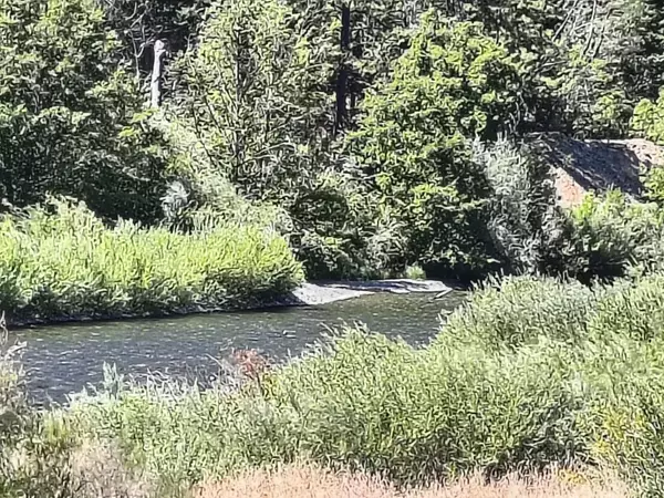 299W 299 West, Junction City, CA 96048