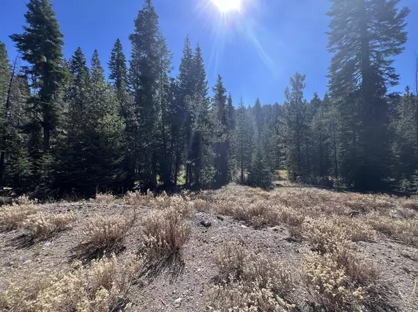 Viola, CA 96088,0000 Logging RD